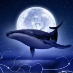 Expert Discusses Profits of Whales and Bitcoin Traders on Binance