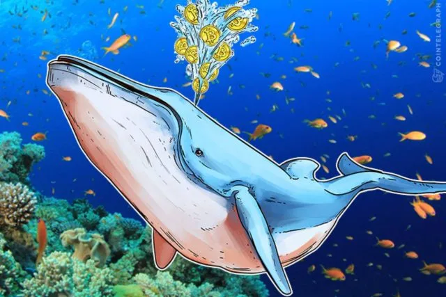 Expert: Hyperliquid Opens the Door to "People’s" Whale Hunting - Cryptol bitcoinkit4324234