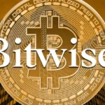 bitwise4342343